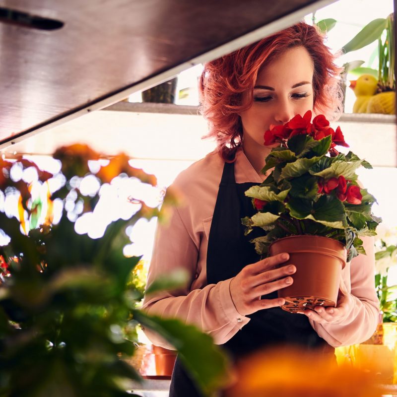 Beautiful redhead female florist wearing uniform working in flower shop.